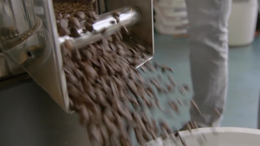 Coffee beans being poured out of a roaster
