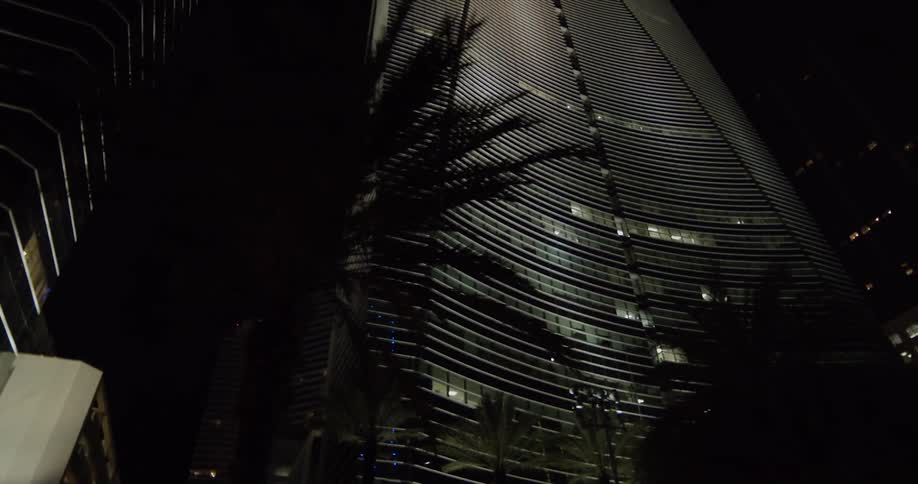 Palm trees at night with skyscrapers in the background