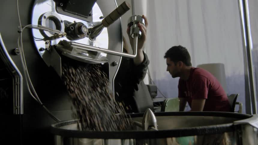 A worker pulls a lever to pour coffee beans into a large basin