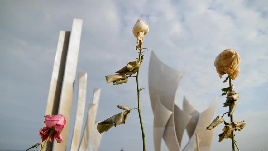 Three flowers with a sculpture and the sky in the background