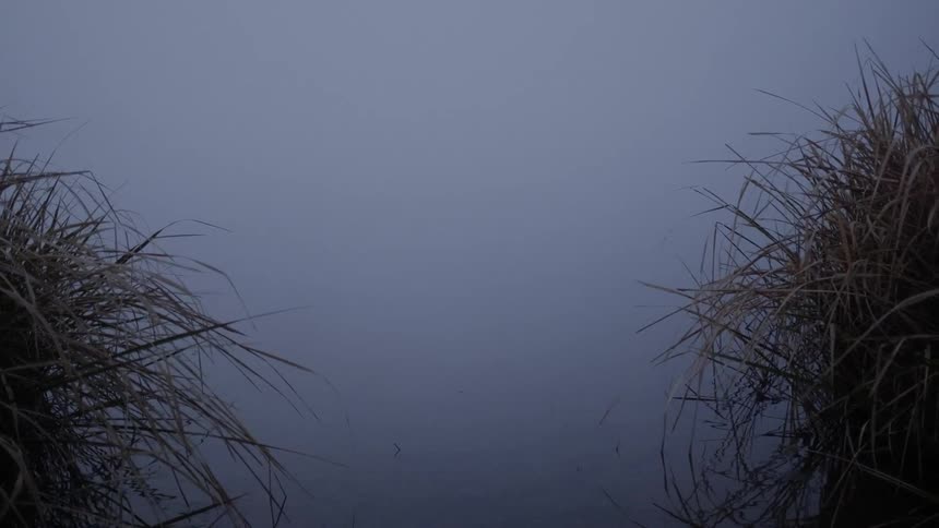 A footage of a misty and eerie lake