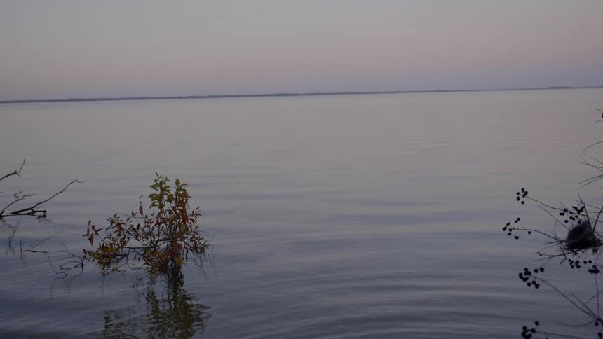 A scenery of a clean lake