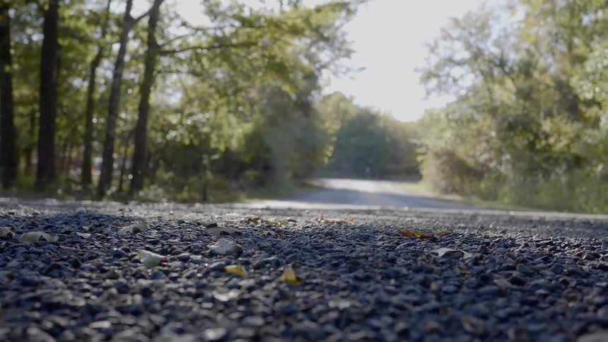 The small road runs through the forest