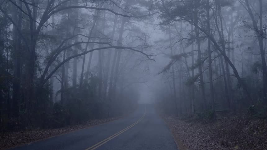 A scenery of an eerie road