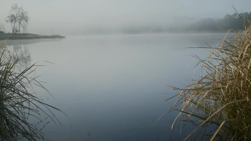 A scenery of a clear lake on a foggy day