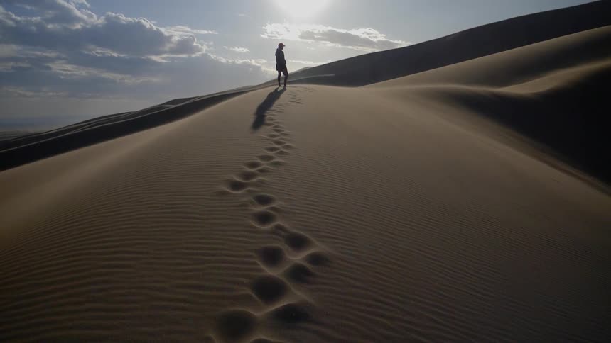 A person stands atop a sand dune