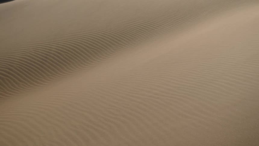 Wind blows the sand from the surface of the dunes