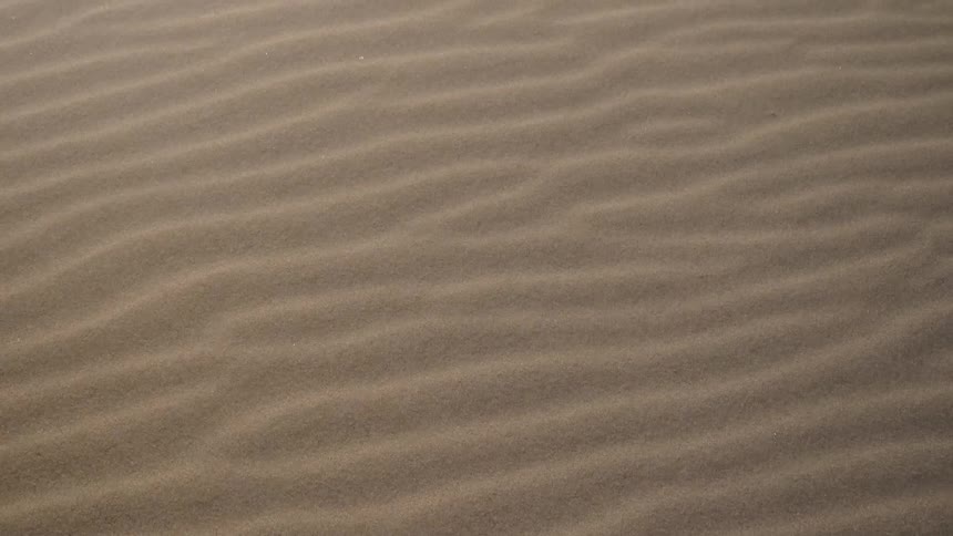 Wind blows the sand from the surface of the dunes