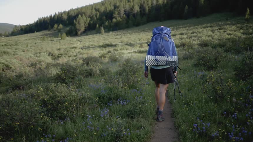 A woman in a skirt walks through a clearing next to a forest