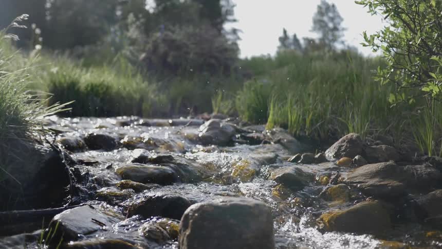 Water is flowing down a stream next to rocks