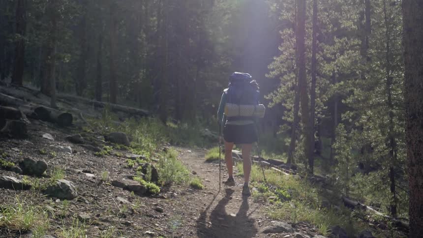 A person walks a dirt and rock path in the forest