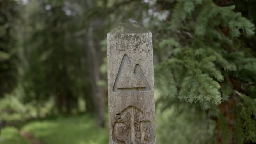 Wood trail marker with carved markings in a forest