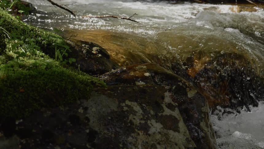 A fast flowing river flows over rocks with a mossy bank