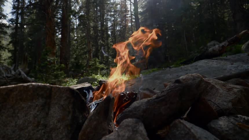 A campfire is lit on the hill by the forest