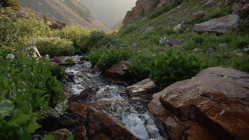 A scenery of clear river stream