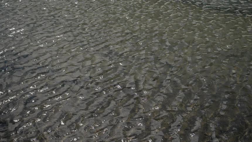 An scenery of a clear water pattern at the river