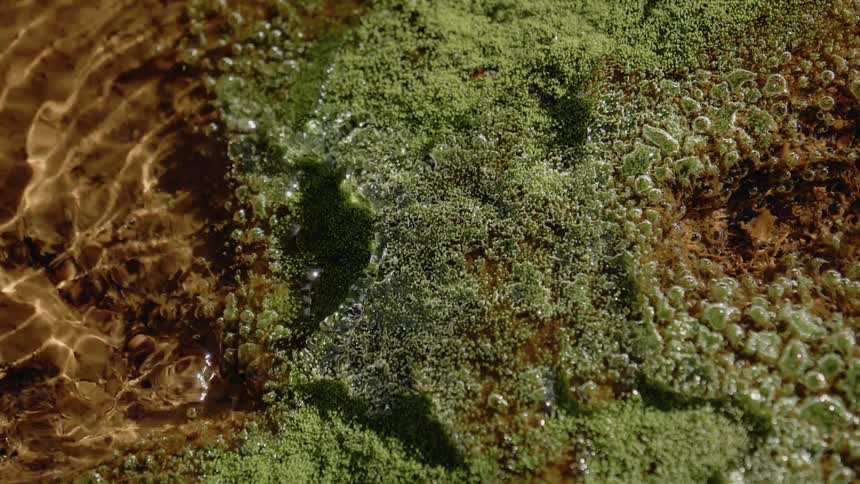 A close up footage of clear water stream in the nature
