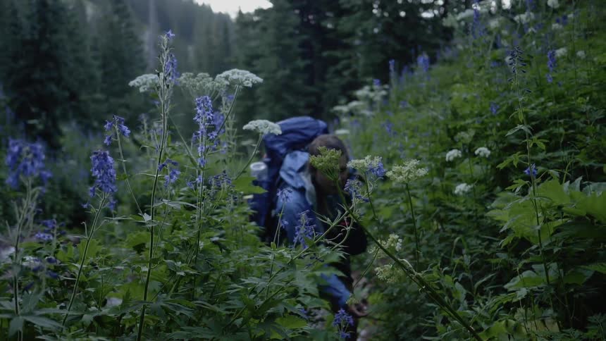 Woman hikes through flower meadow near forest