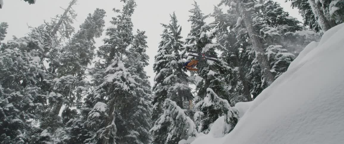 A skier flies gracefully through the air surrounded by snow and trees