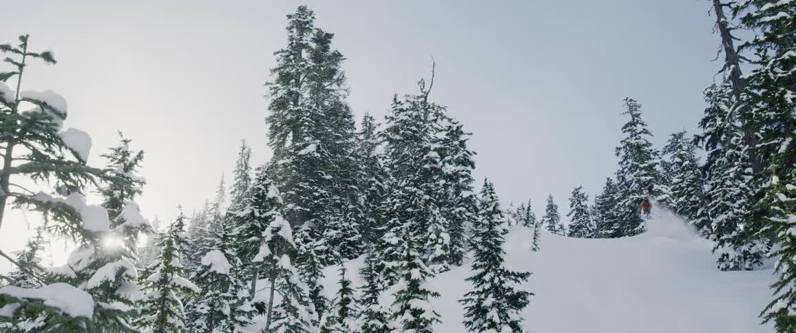 Skier skiing through snow covered trees in the mountains