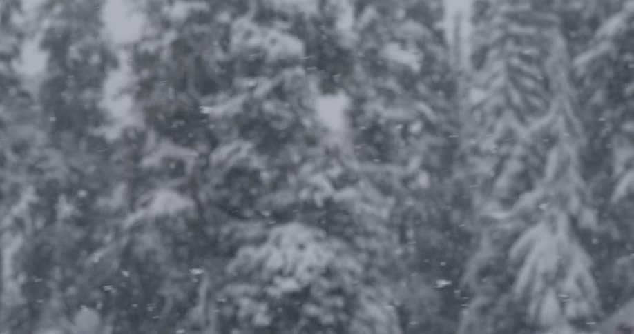 A scenery of a snowfall