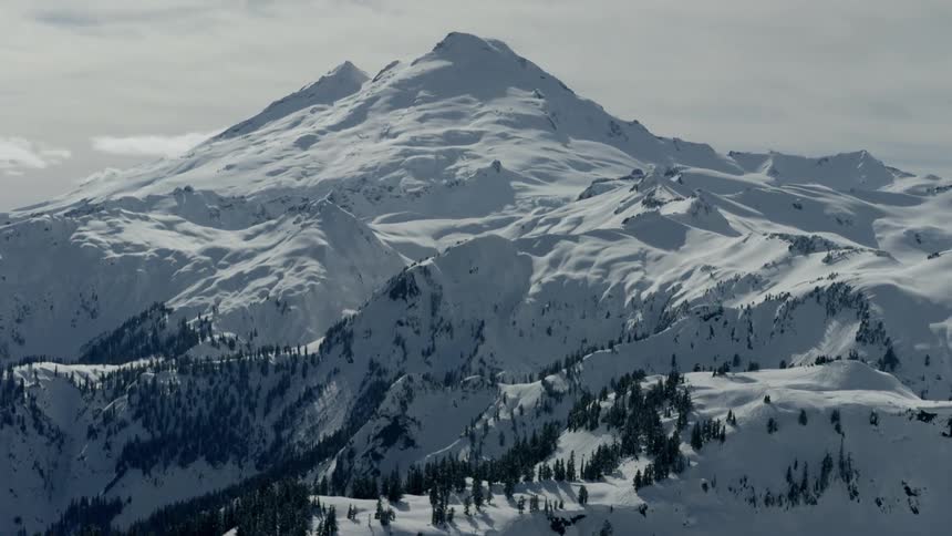 Conifers dot lower slopes of snow covered mountain
