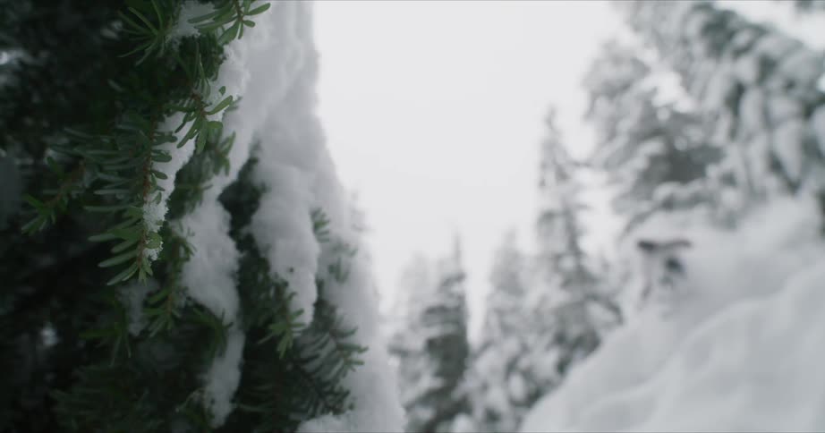 A scenery of a man skiing at the hill