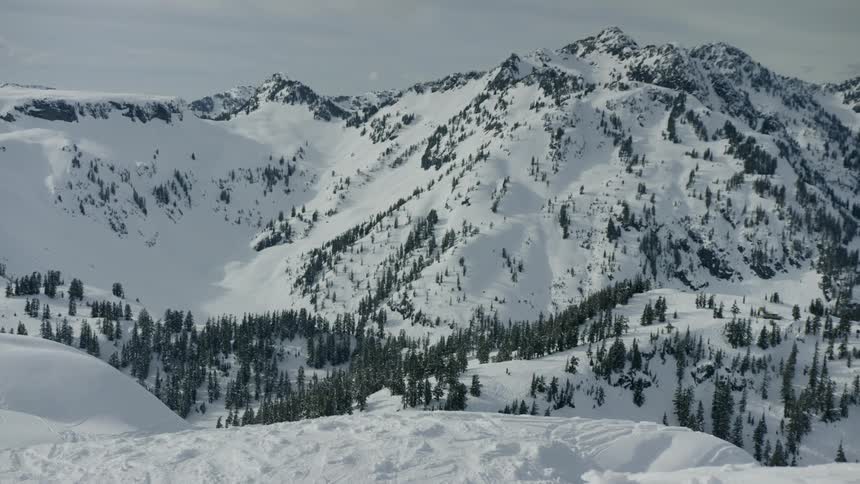 Landscape view of pine forest on snow covered mountains