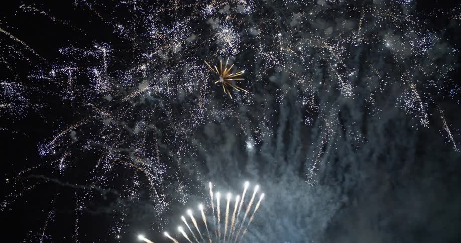 Fireworks shoot up and explode in the night sky