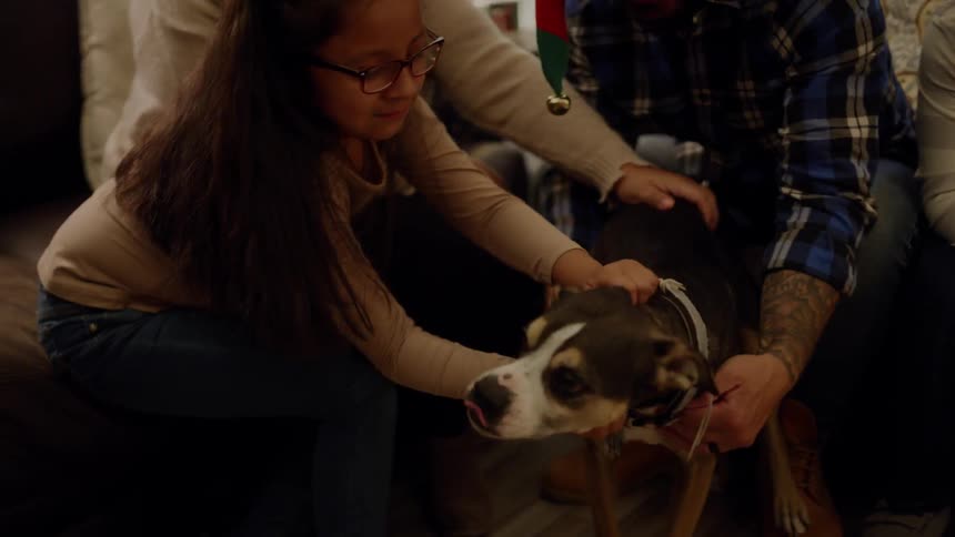 A family surrounds and pets a dog at christmas time