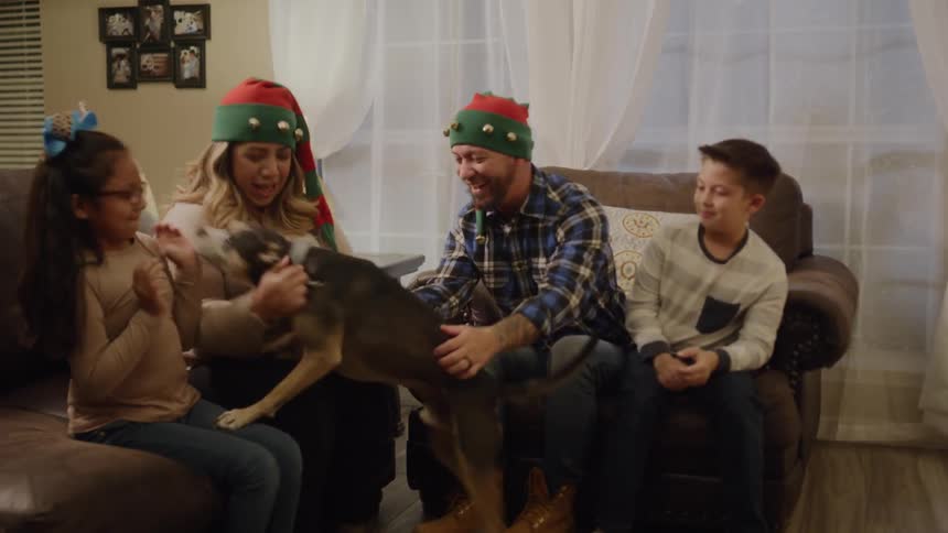 A family dog jumps on his family while the sit in their living room celebrating christmas