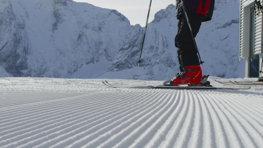 A group of people are skiing near the mountains