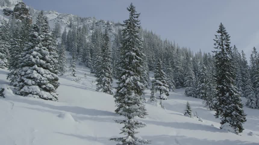 A scenery of cable car on the snow forest and mountain
