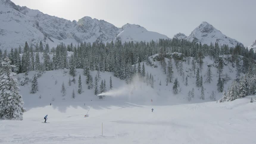 A couple of people are skiing down a snow covered mountain with tall evergreens in the background
