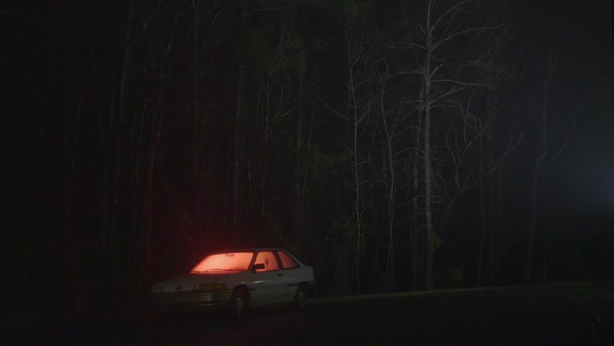 A car lit bright orange in front of a forest