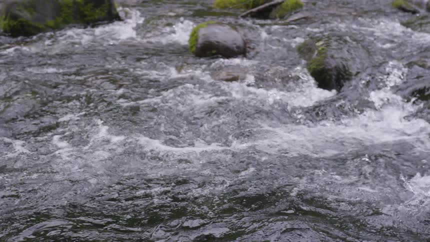 A footage of water flowing in the river