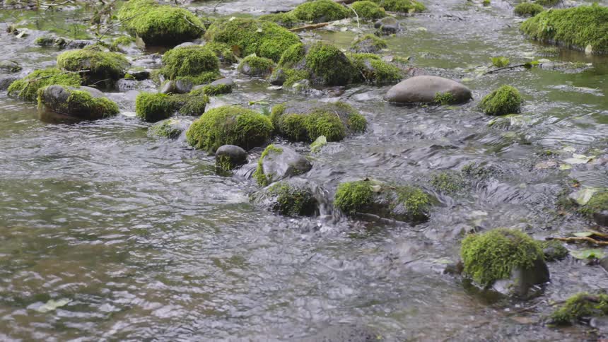 Water flowing down over rocks and moss in a creek