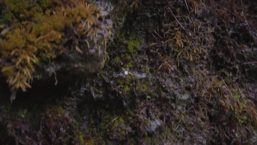 Droplets of water are falling off of the cliff