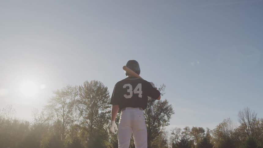 A portrait of a baseball batter on the park