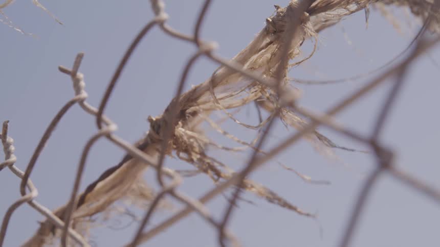 A footage of barbed wire