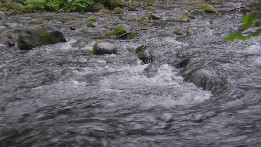 Close up of a creek flowing over small rocks in the wilderness