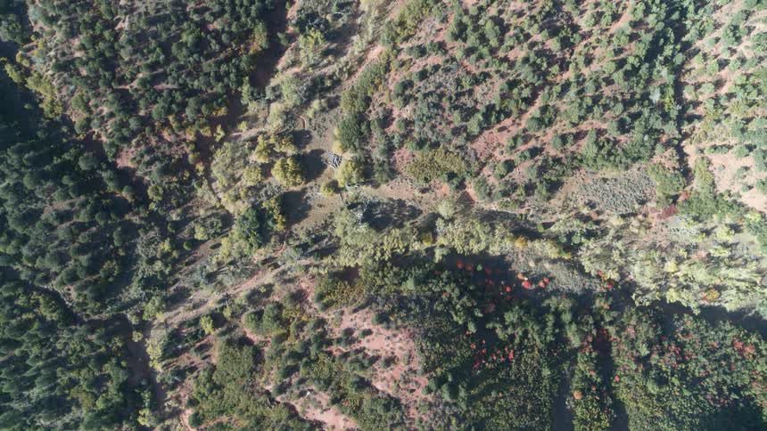 A hilly countryside covered in trees and bushes