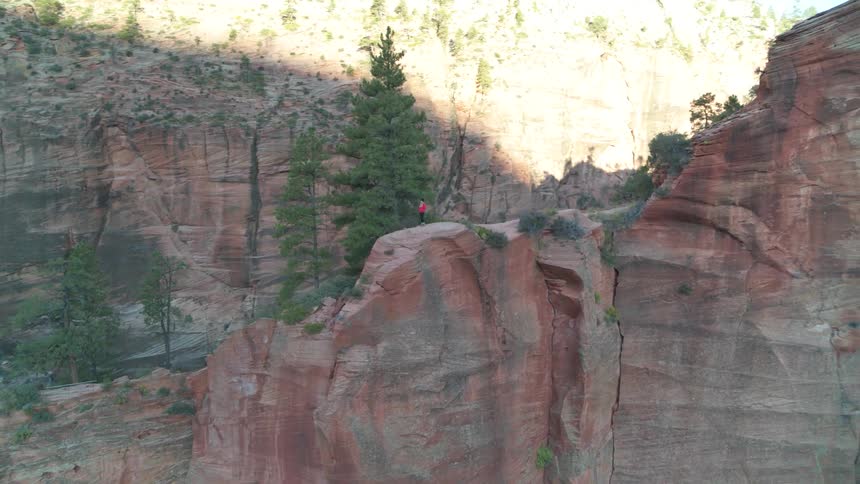 A person standing on a cliff with cliffs and trees in the background