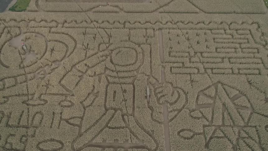 Pale hedge garden forms graphics