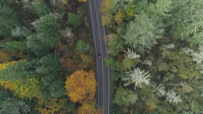 Birds eye view of red car driving on road through woods