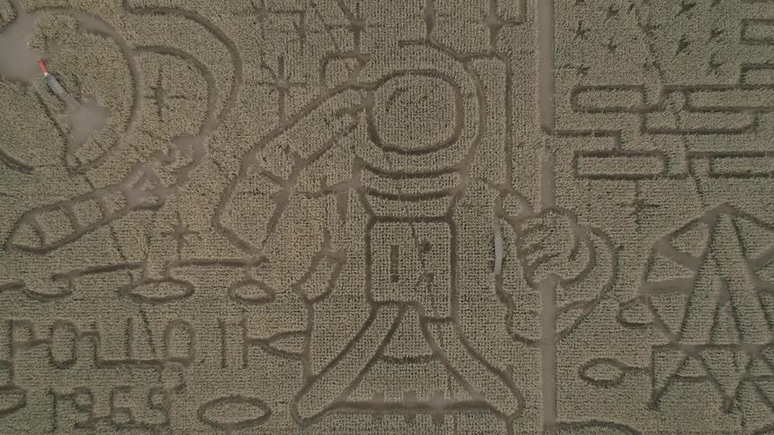 Space themed pattern cut into crop field
