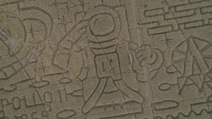 A carving representing apollo 11
