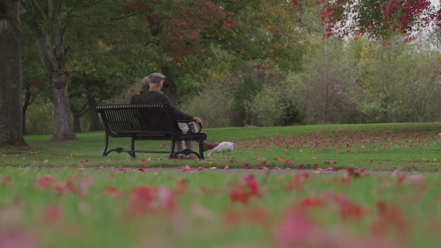 Old man and woman sit on the park bench in the public park