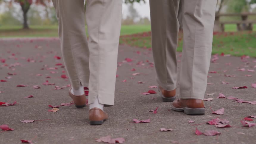 Two people walk along a park path