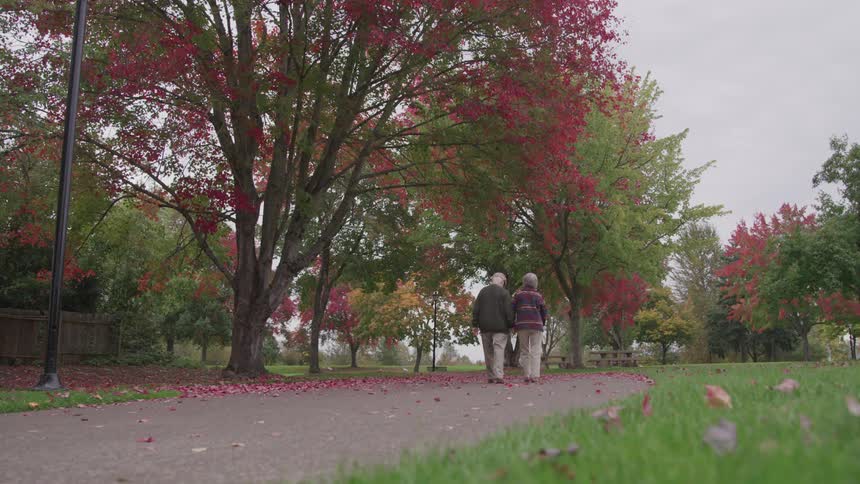 An elder couple walks through a park